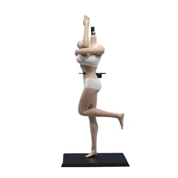 SUPER FLEXIBLE BODY フィギュア Amazon.com: 1/12 Scale Female Seamless Super Flexible Action